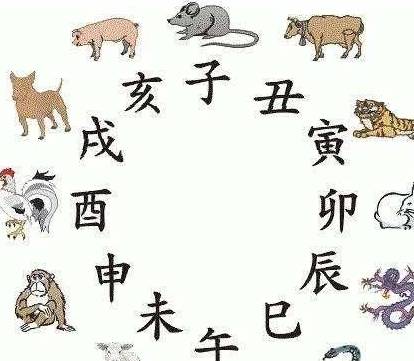一道旭光分两地鸡啼鼠走四十六是什么生肖的警惕虚假宣传-全面释义、实证解答解释落实