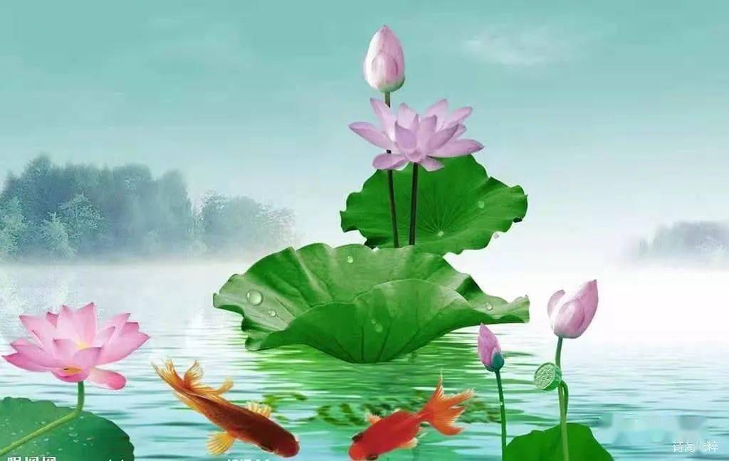 強弱懸殊，難定分界!池上荷花二三片打一准确生肖,警惕虚假宣传-全面释义、解释与落实、综合解答解释落实
