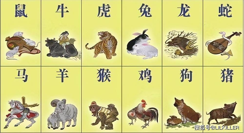 一道旭光分两地鸡啼鼠走四十六是什么生肖的警惕虚假宣传-全面释义、实证解答解释落实