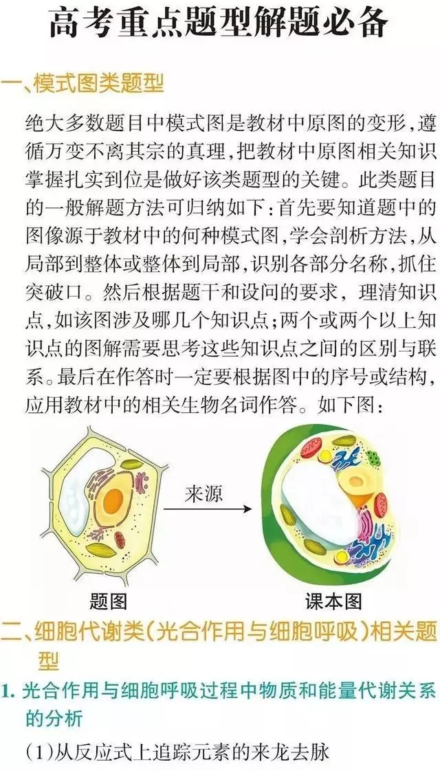 熟生巧巧则变变化多端不絮乱打一生肖详细解答、解释与落实、统计解答解释落实